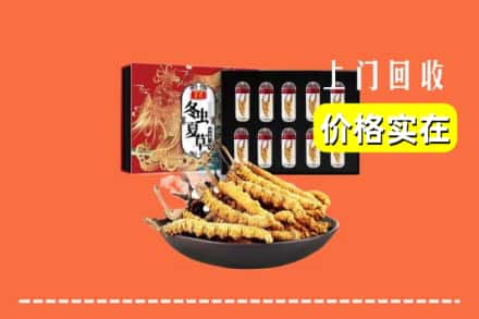 平谷区回收冬虫夏草