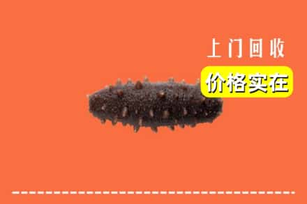 平谷区回收海参