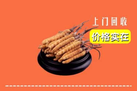平谷区回收冬虫夏草