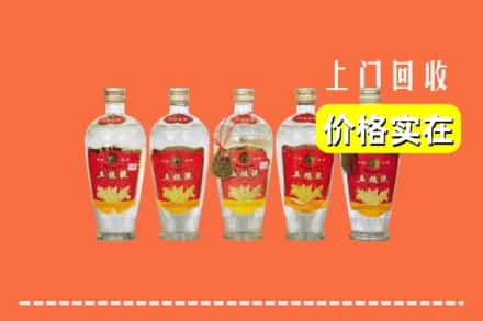 诚信求购:平谷区高价回收老五粮液